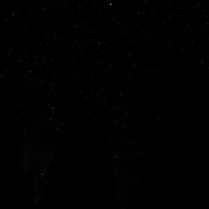 Meet your Posher, Cesar